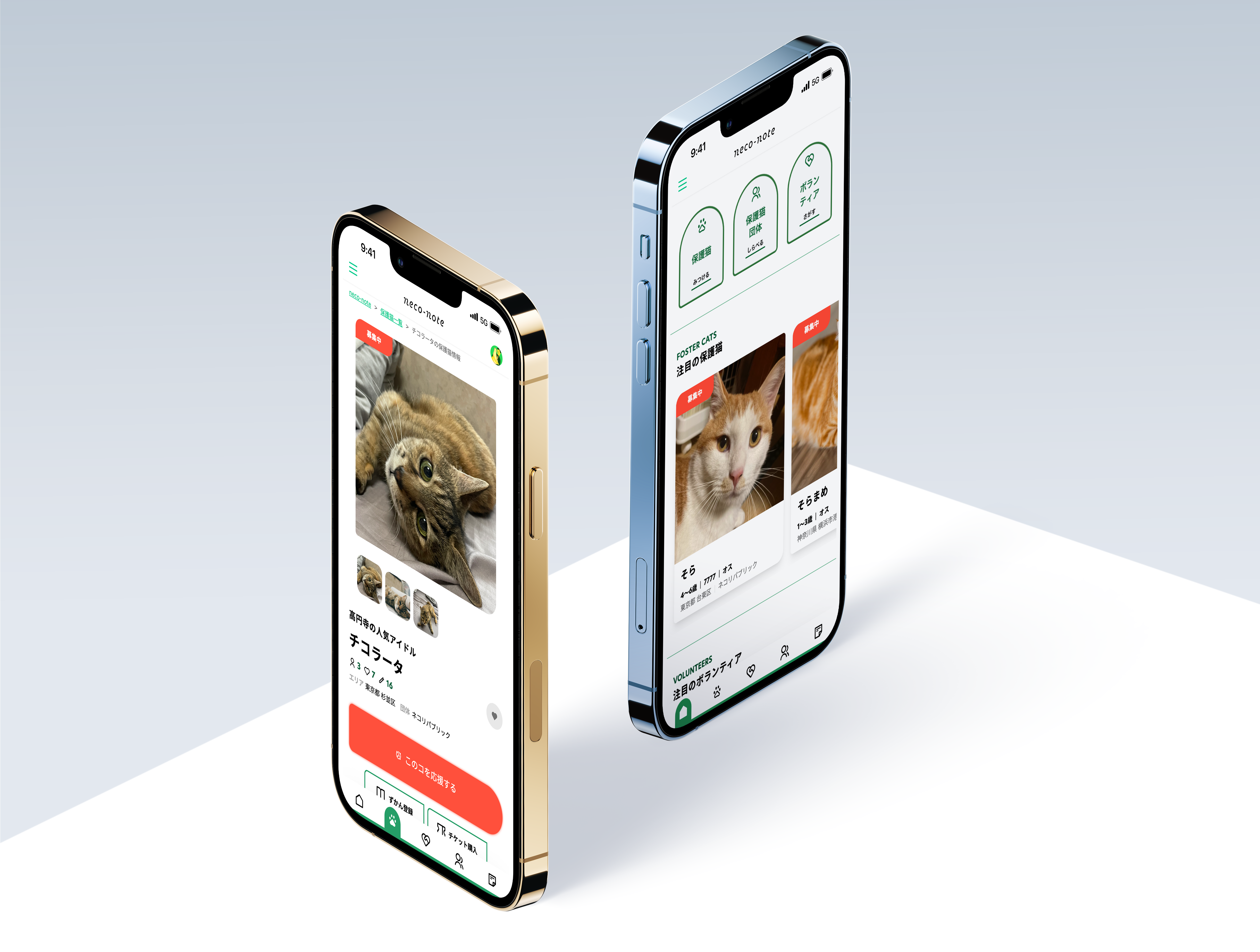 保護猫の推し活サービス 「neco-note(ネコノート)」システム開発